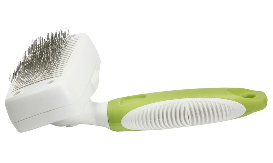 Green-