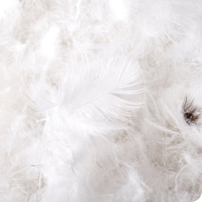 White-