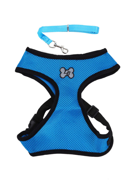 Blue-