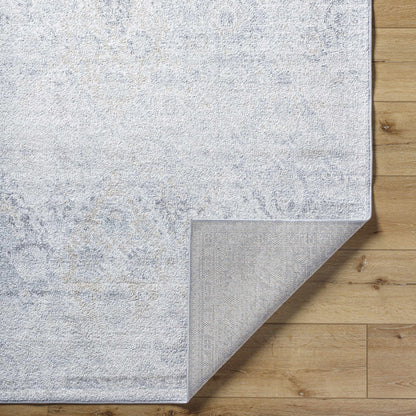 Totsi Area Rug