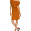 AMBER