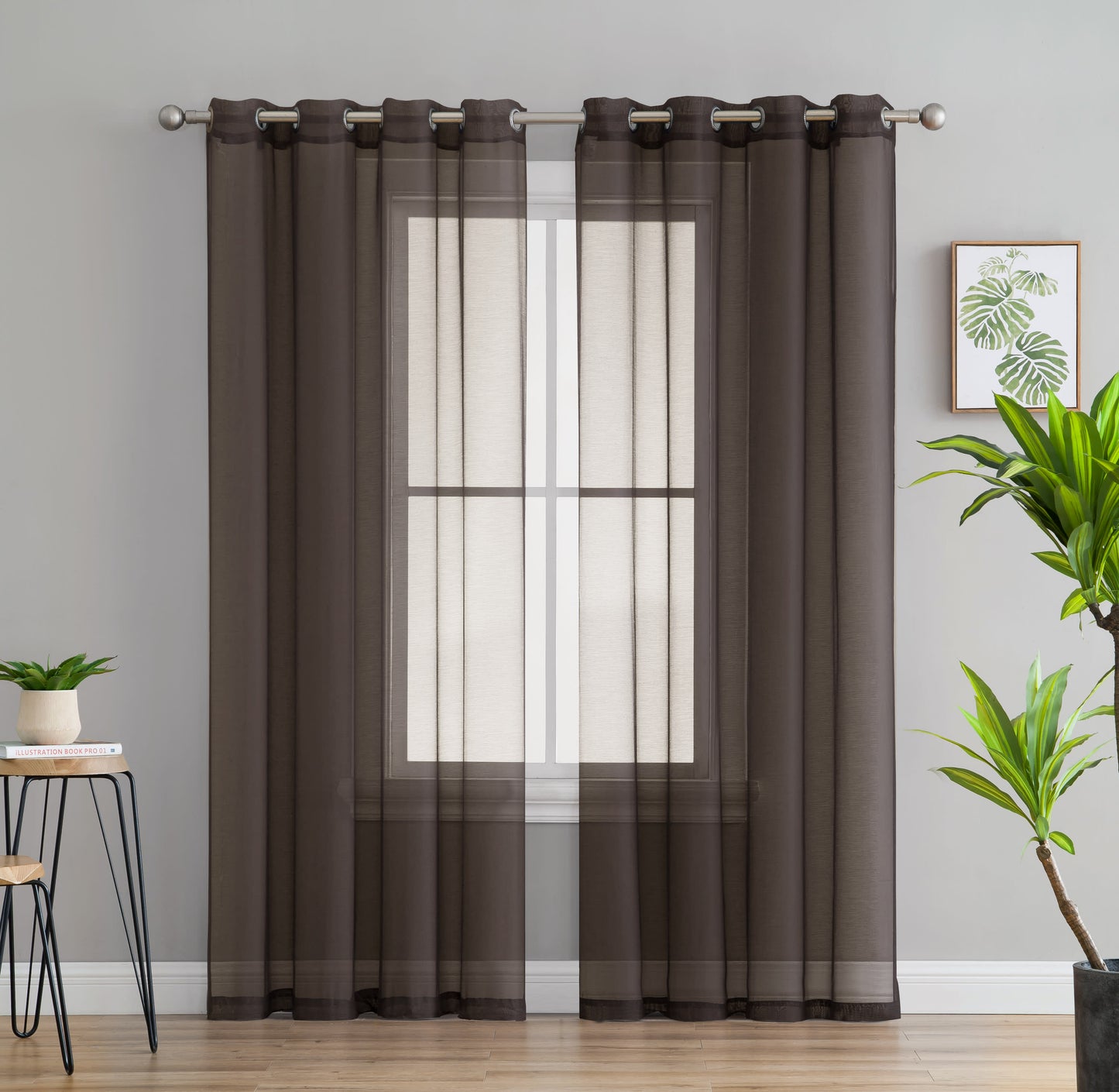 Chocolate Brown-