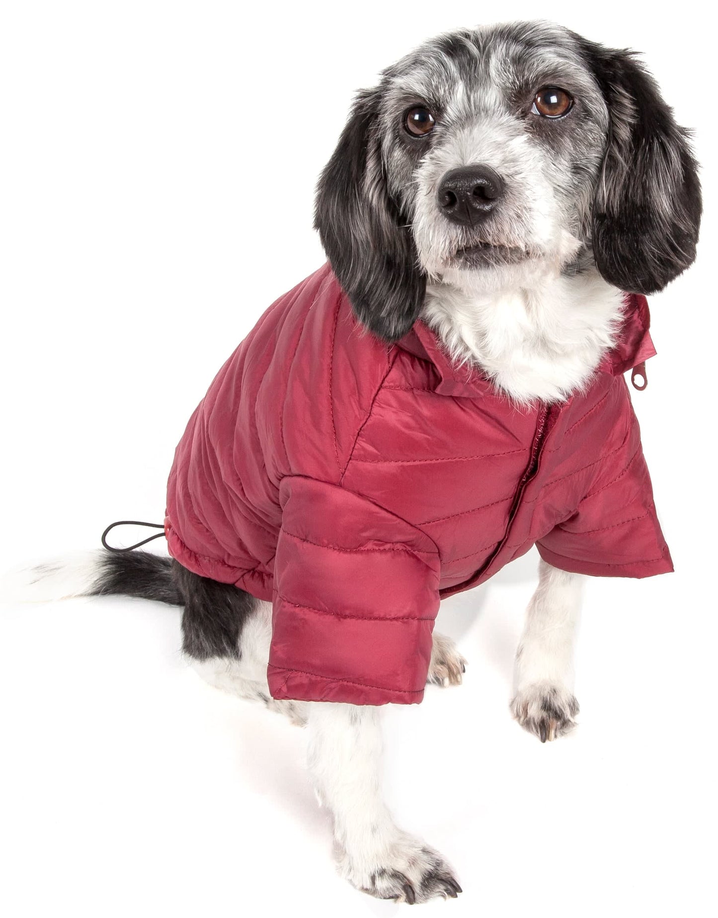 Burgundy Red-