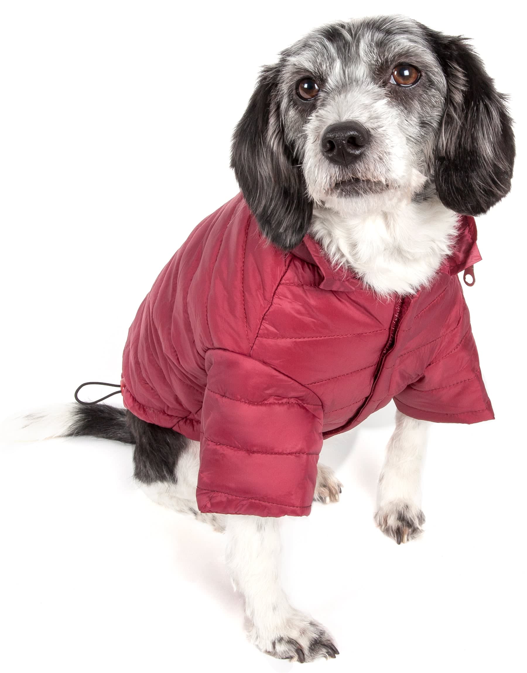 Burgundy Red-