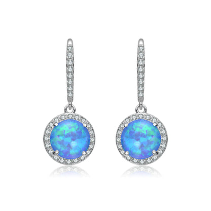 White Gold Plating with Clear Cubic Zirconia Halo Drop Hook Earrings