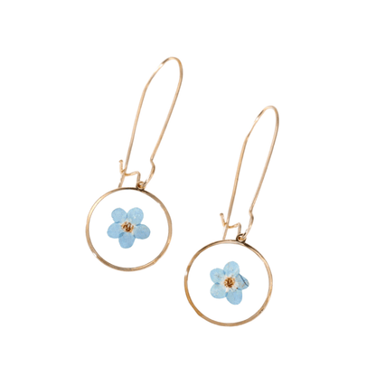 Blue / Gold-