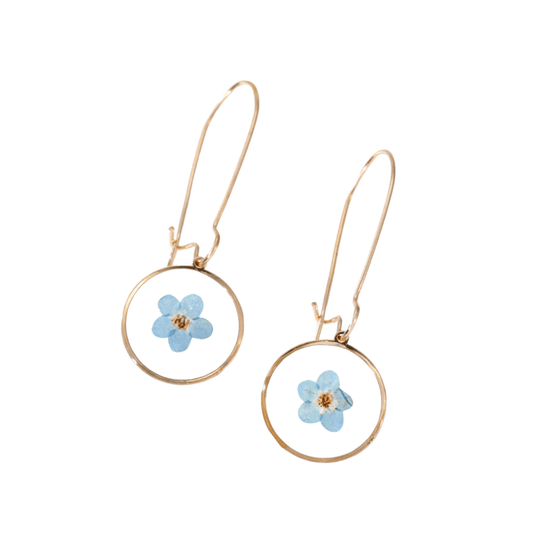 Blue / Gold-