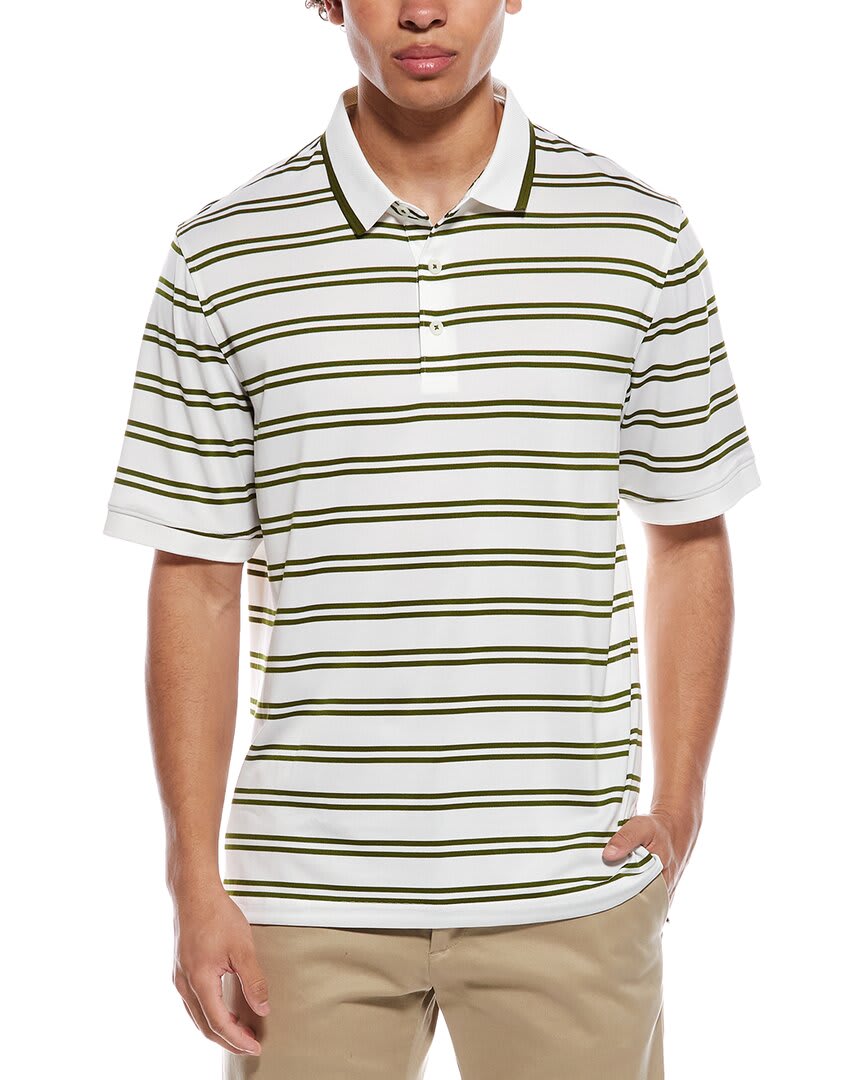 982-WHITE/PESTO-