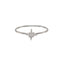 Northern Star