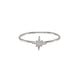 Northern Star