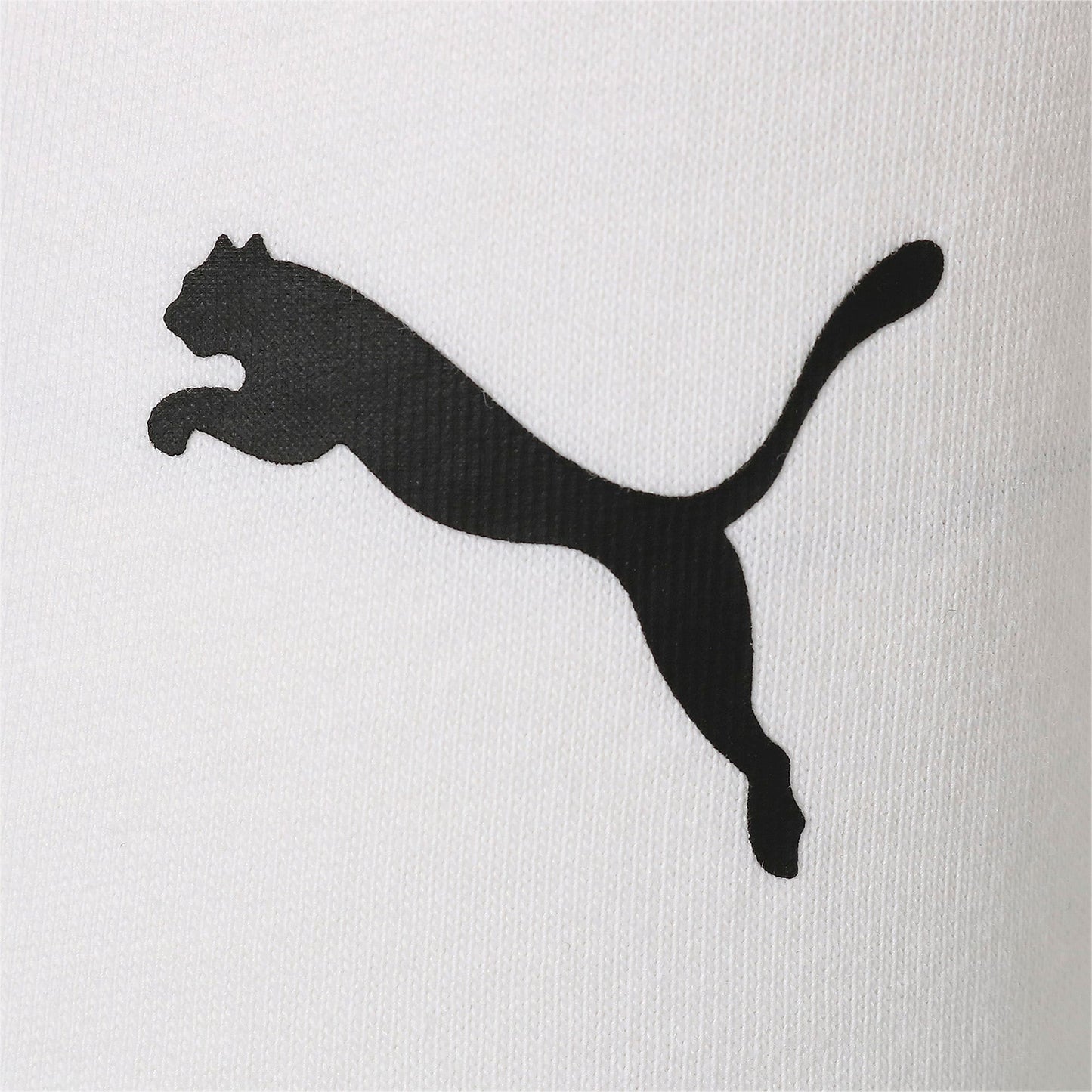 Men's Puma Bmw Motorsport Graphic Tee