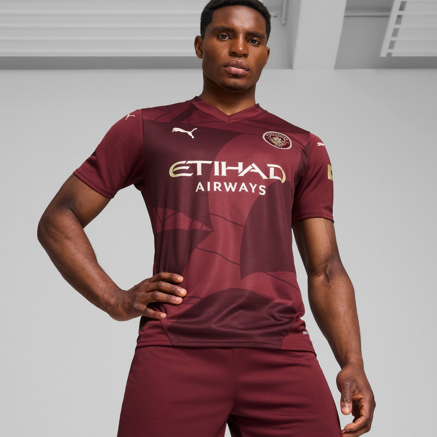 Puma Men's Mcfc Third Jersey Replica Jerseys