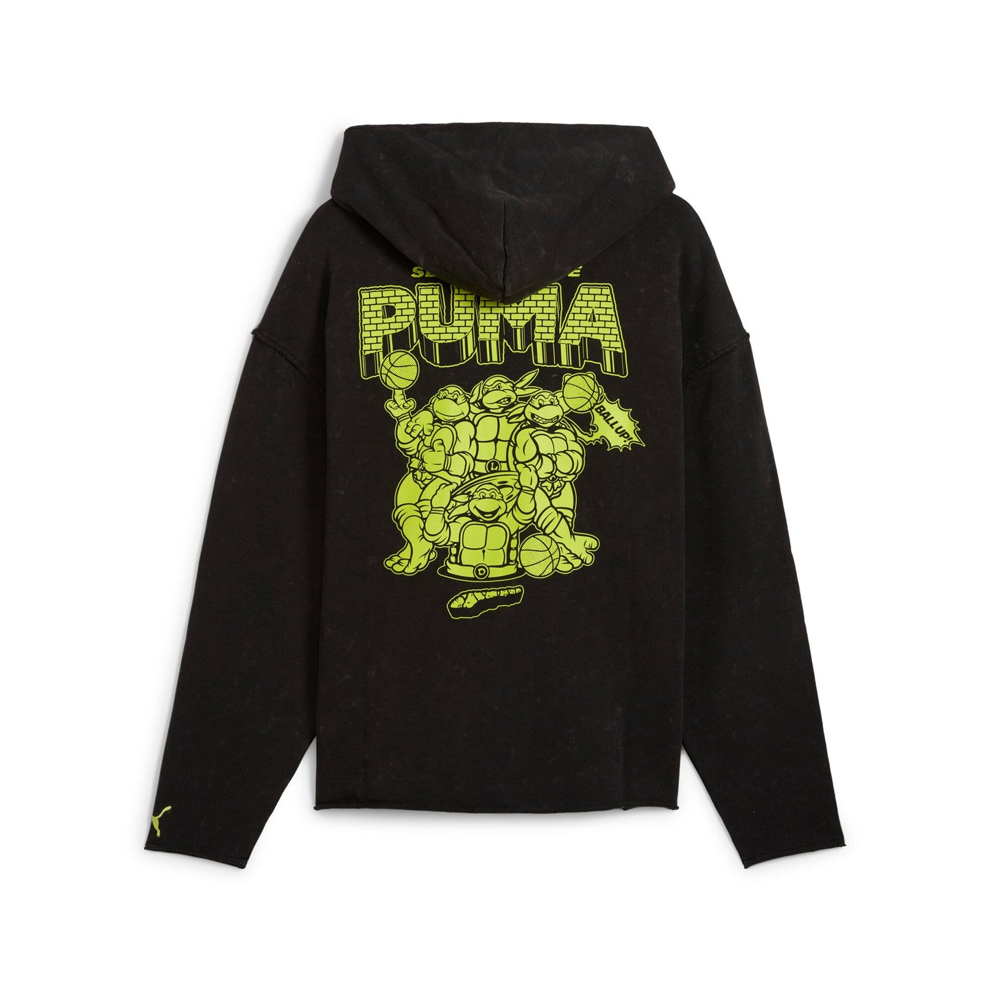 Puma Men's Hoops X Tmnt Hoodie Hoodies
