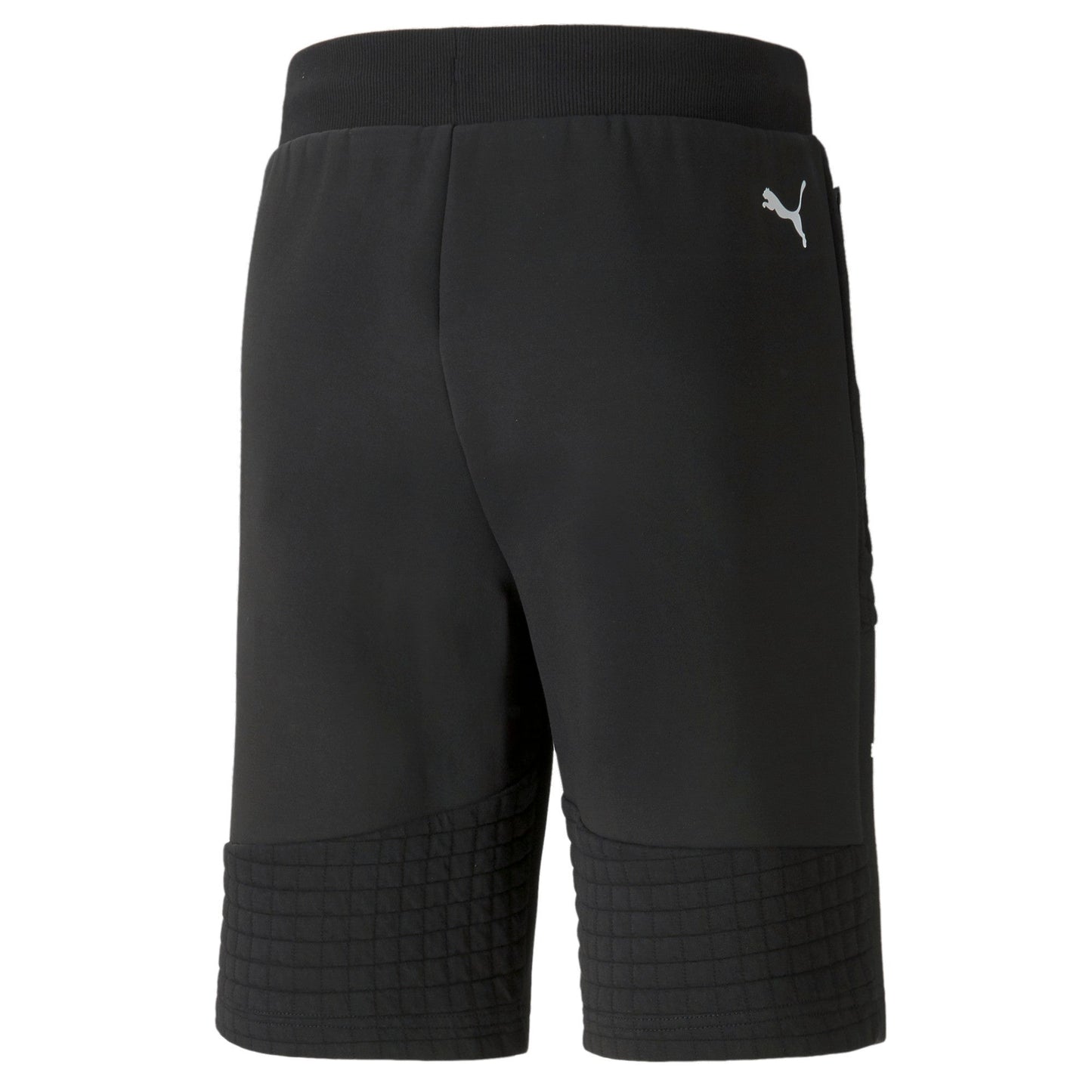 Puma Men's Bmw Motorsport Sweatshorts