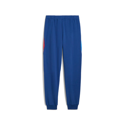 Puma Men's Bmw Motorsport Sweat Pants Reg/Cc Pants