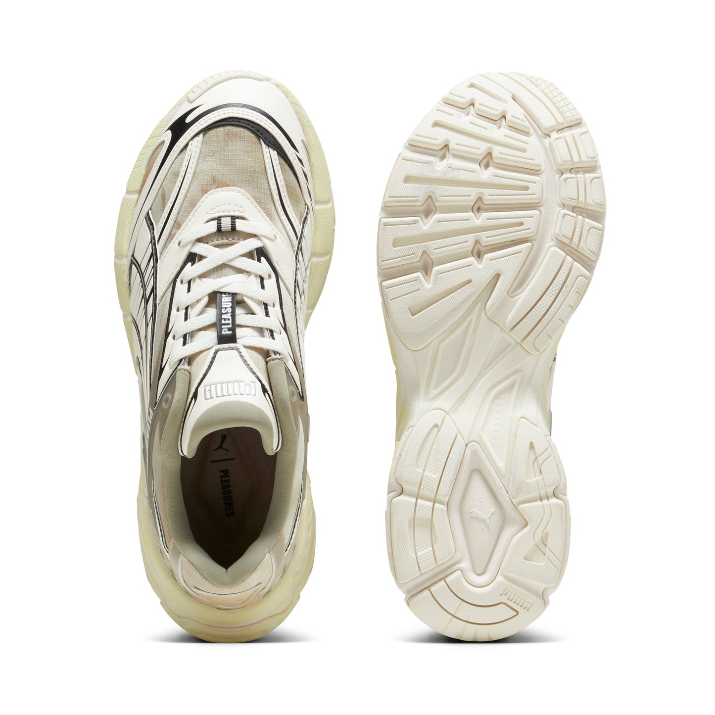 Birch Tree / Anise Flower-