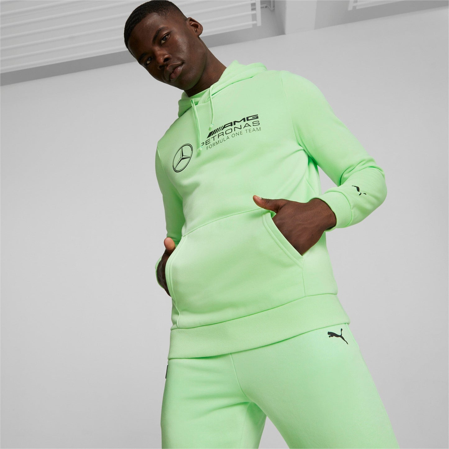 Puma Men's Mapf1 Mercedes Essential Fleece Hoodie Hoodies