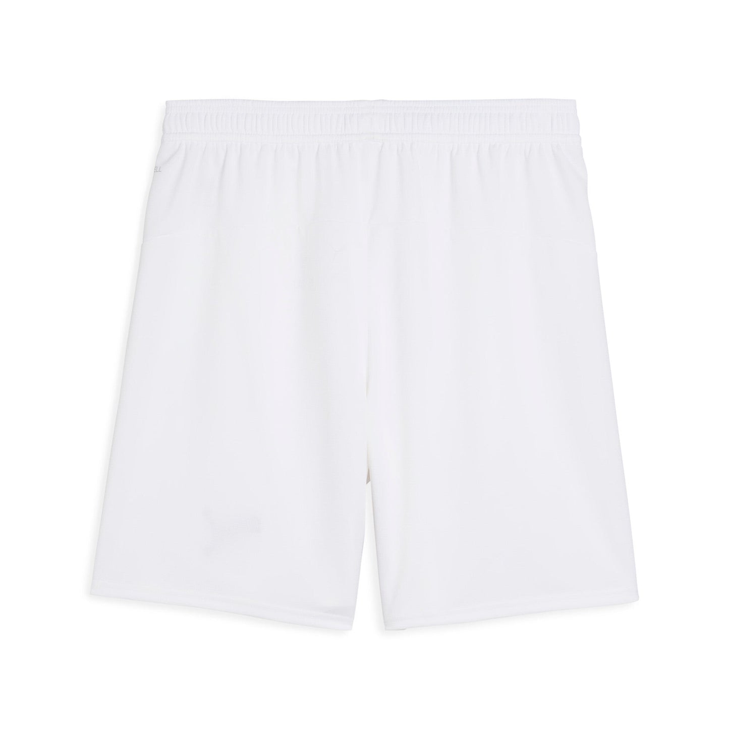 Puma Men's Fpf Shorts Replica Shorts