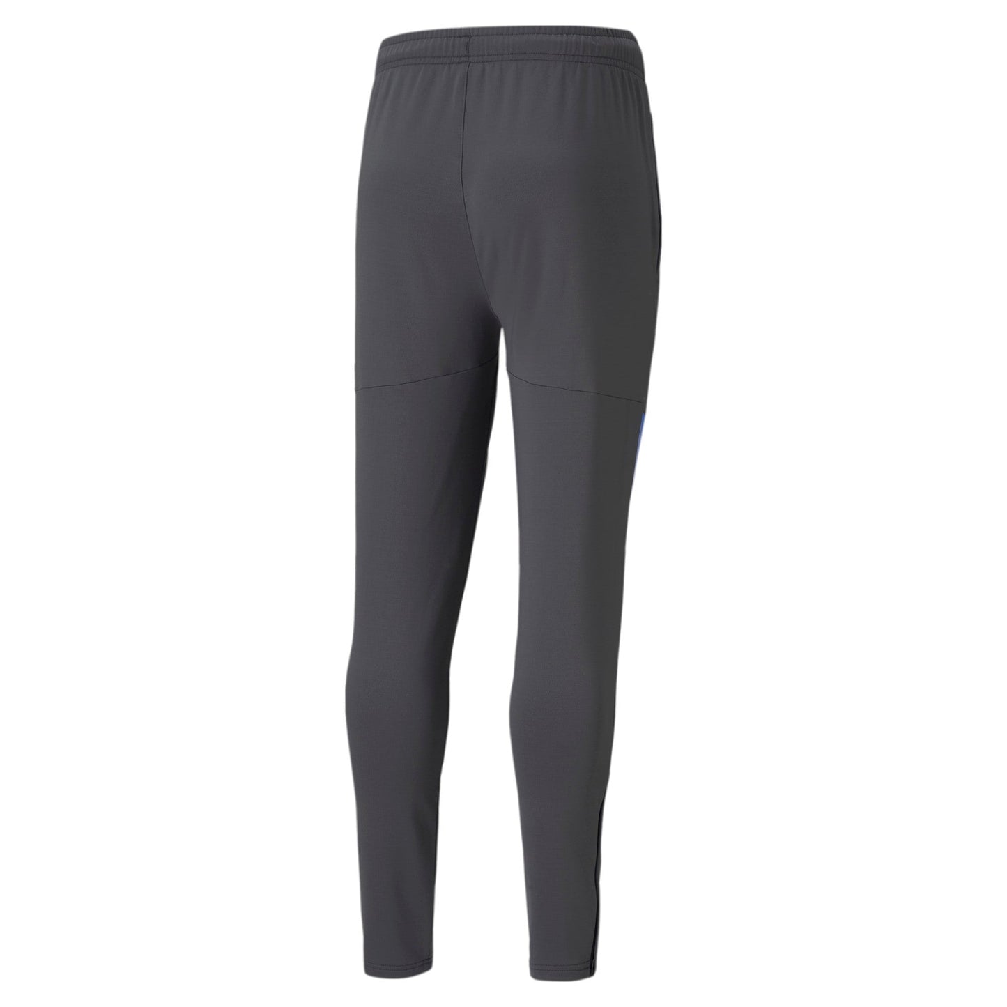 Puma Men's Individualcup Training Pants