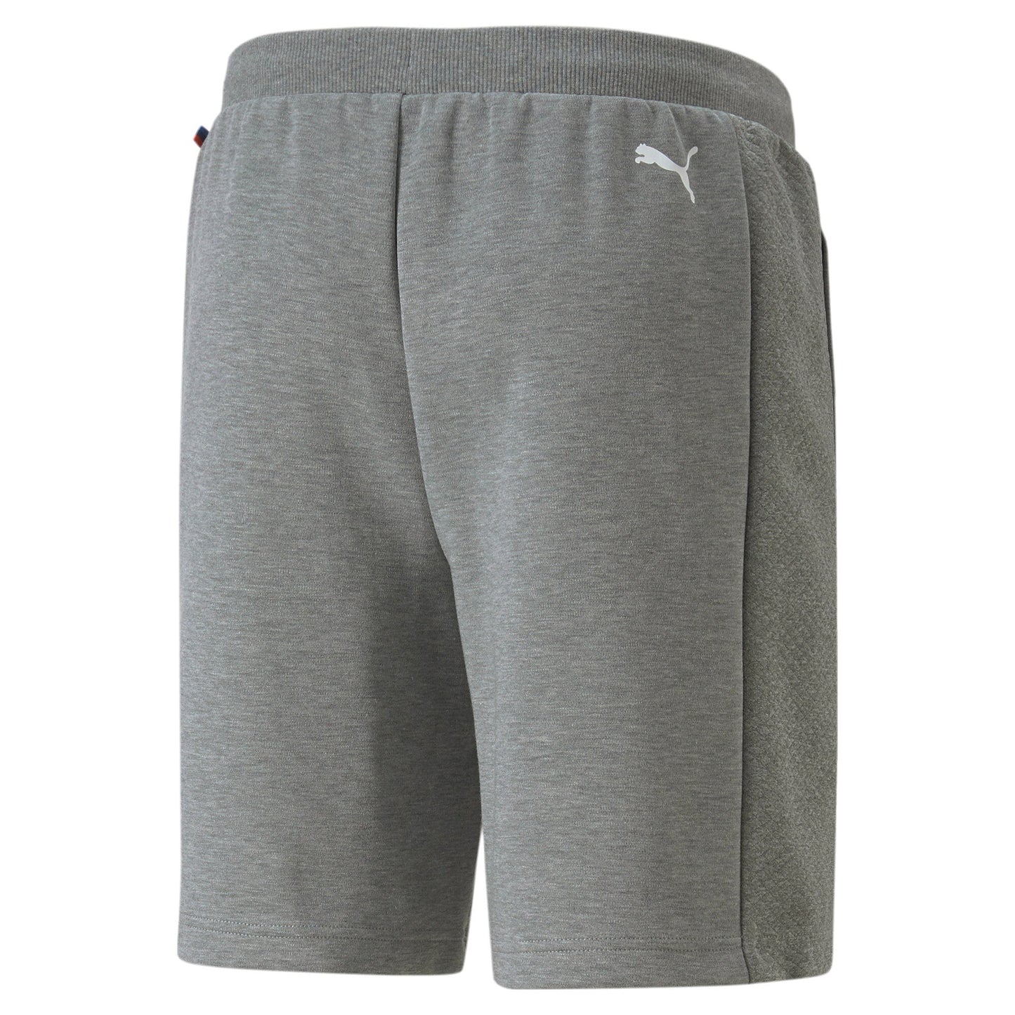 Puma Men's Bmw Motorsport Sweat Shorts