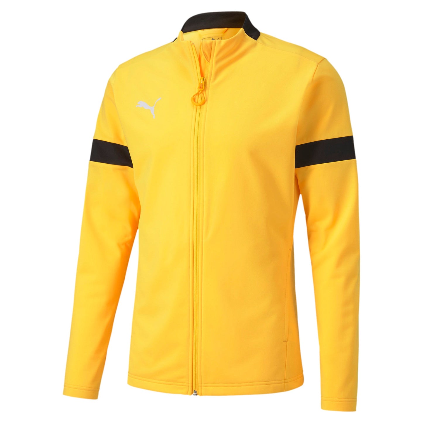 Puma Men's Ftblplay Tracksuit