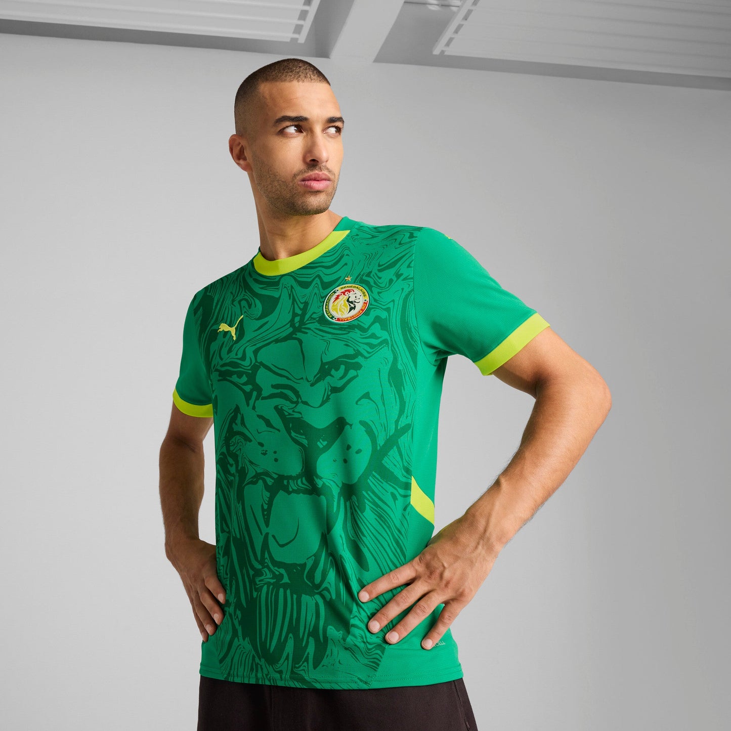 Puma Men's Fsf Away Jersey Replica Jerseys