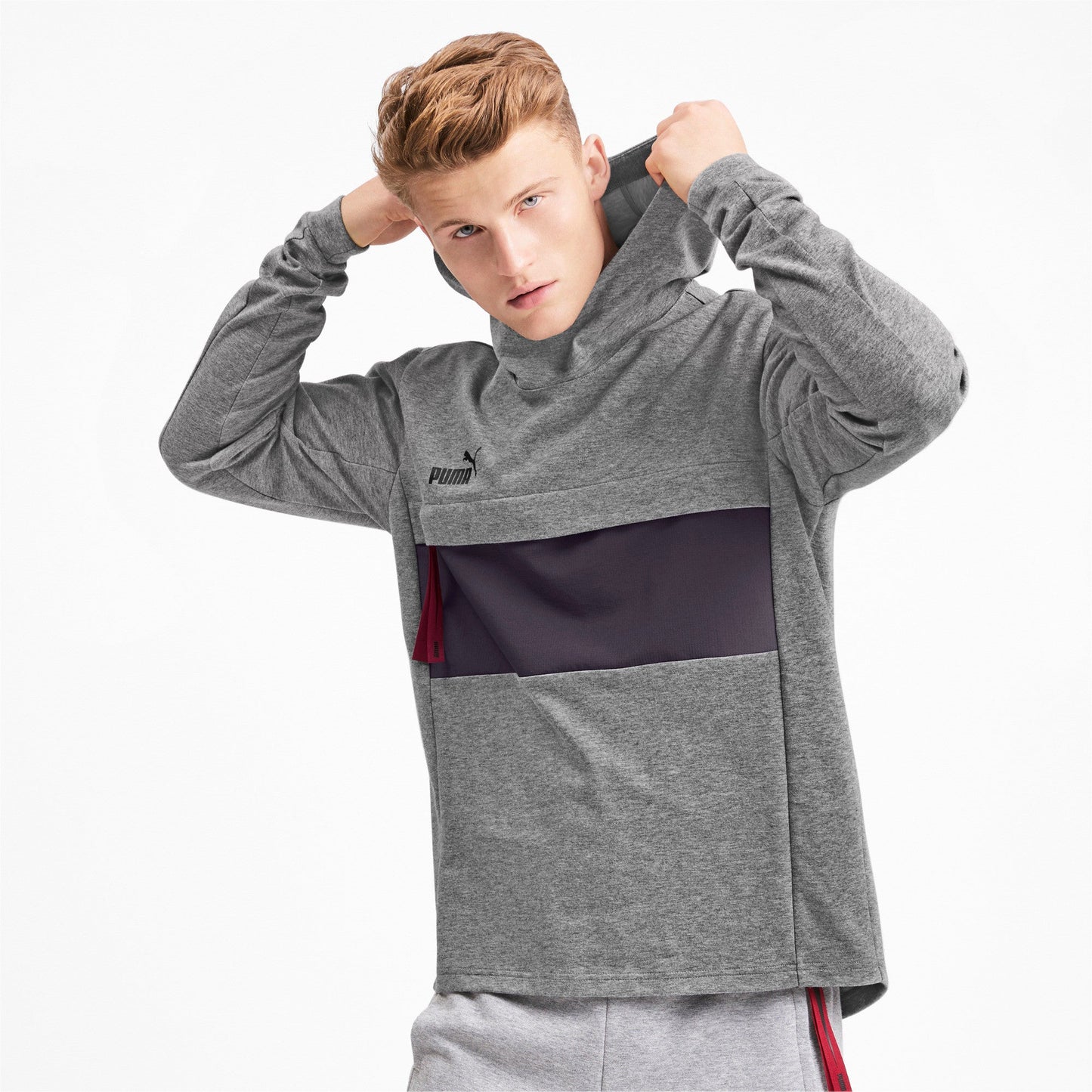 Puma Men's Ftblnxt Casuals Hoody Hoodies