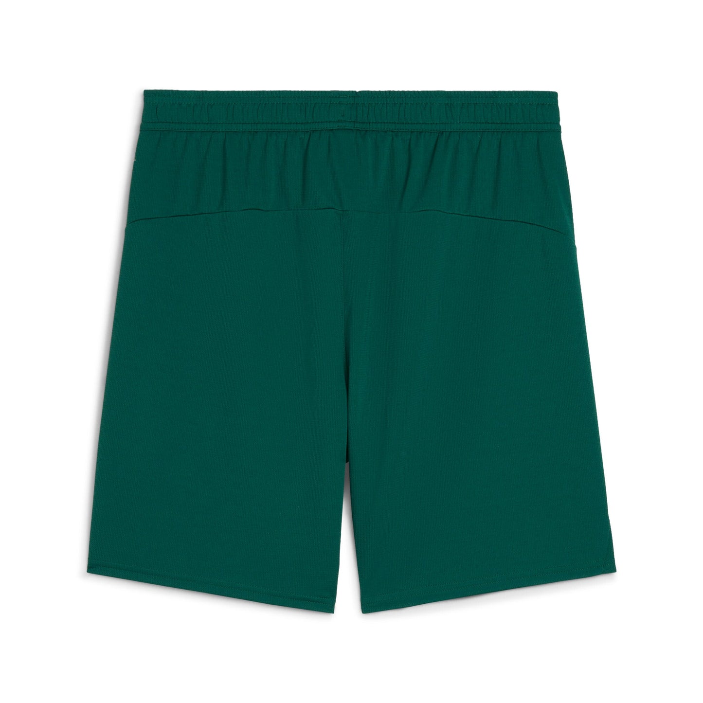 Puma Men's Fpf Shorts Replica
