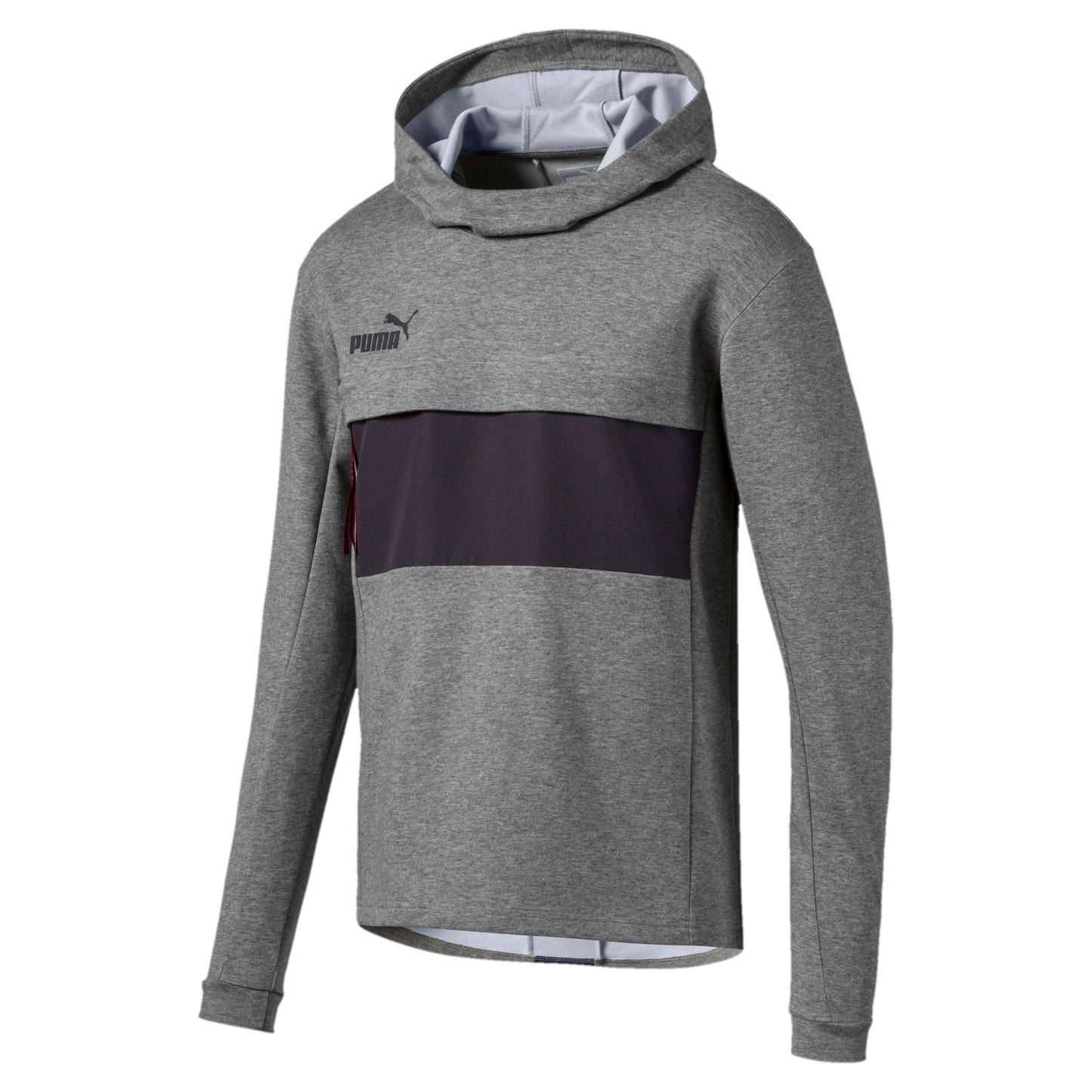 Puma Men's Ftblnxt Casuals Hoody Hoodies