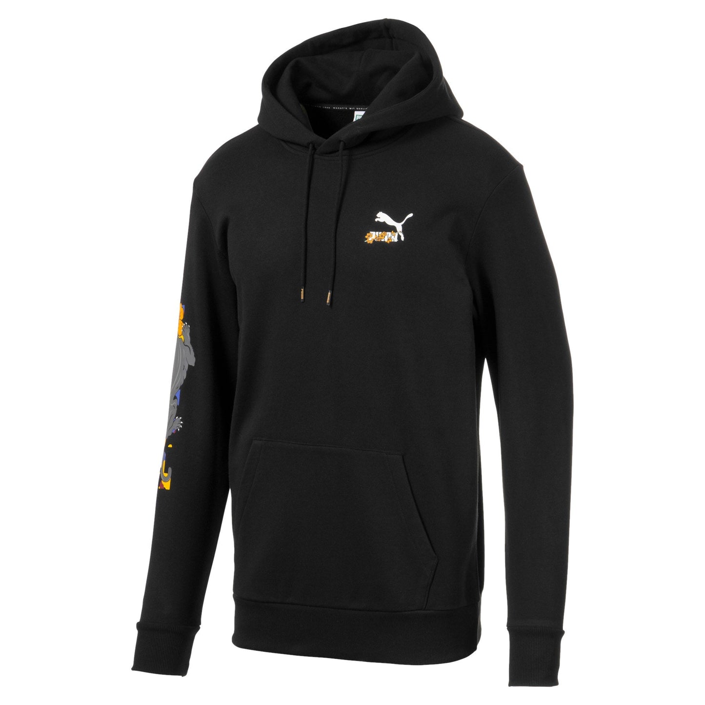 Puma Men's Sakura Pack Hoody Hoodies