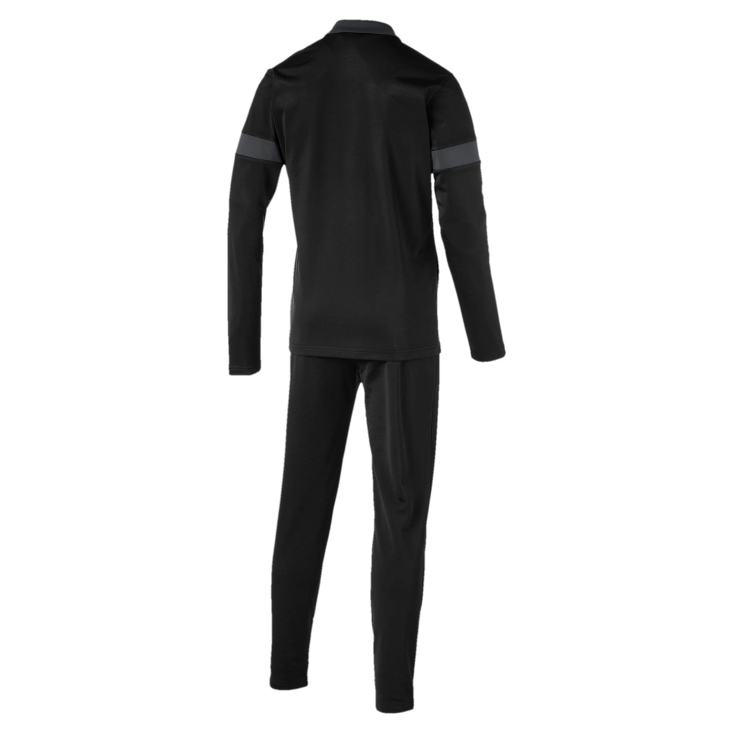 Puma Men's Ftblplay Tracksuit