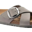 Dove Gray