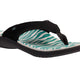 TEAL ZEBRA