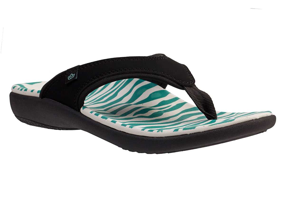 TEAL ZEBRA -