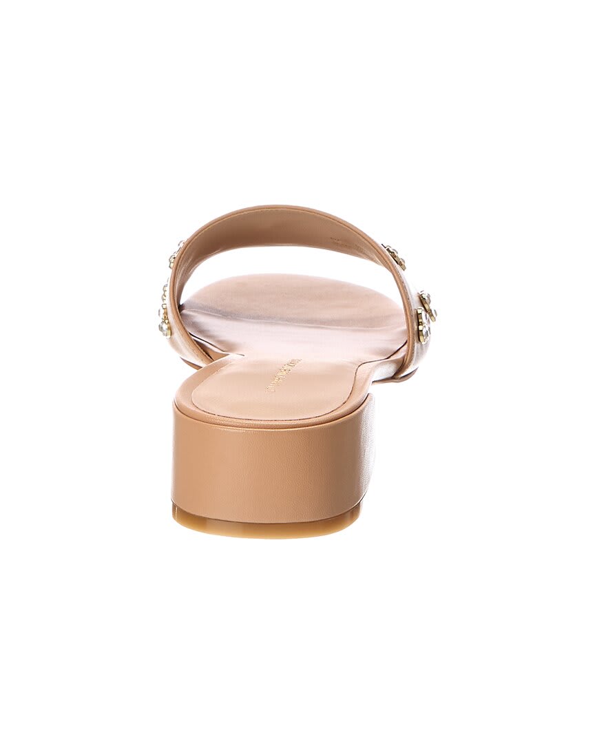 Golden Beige-
