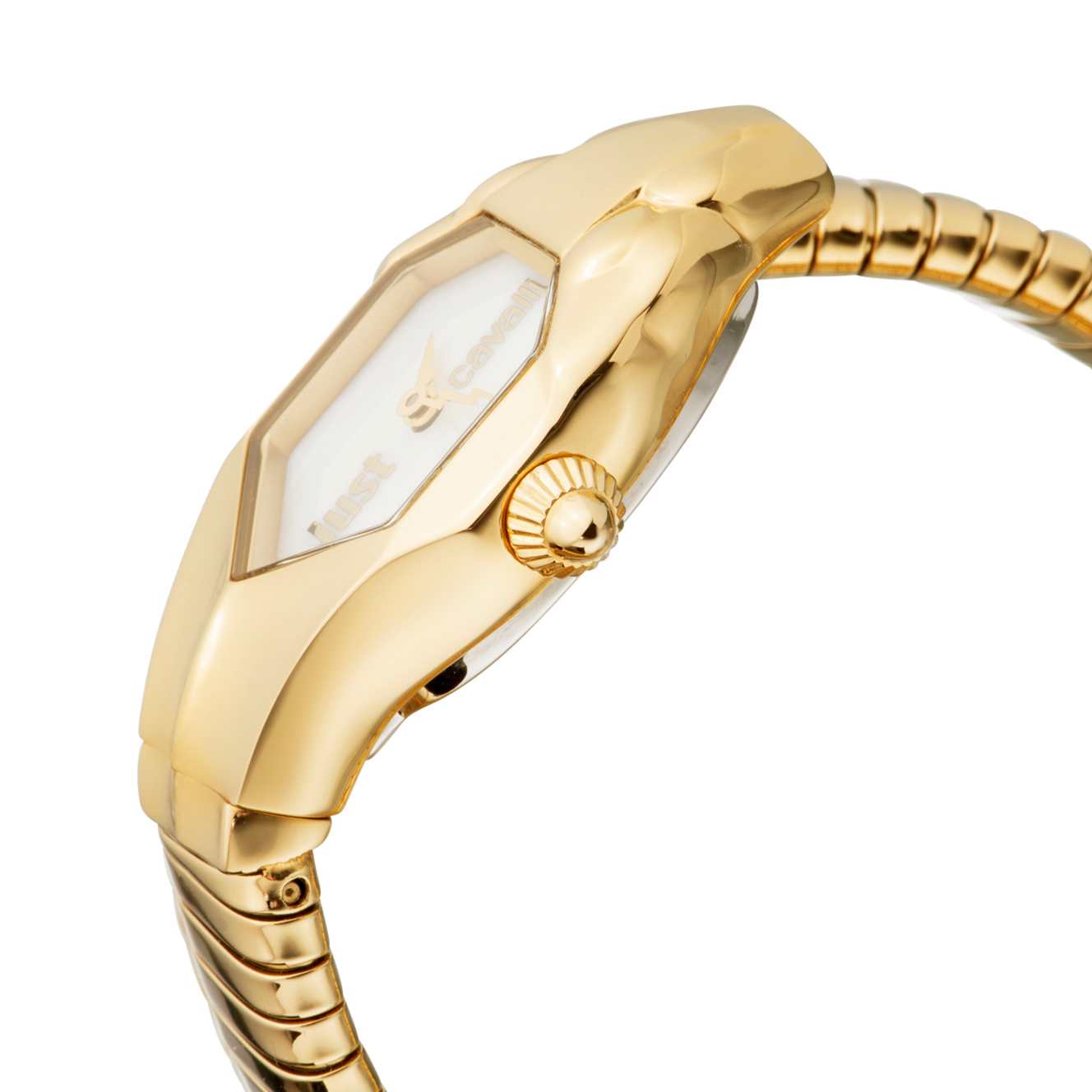 Just Cavalli Women's Glam Chic Silver Dial Stainless Steel Watch Jc1l001m0025
