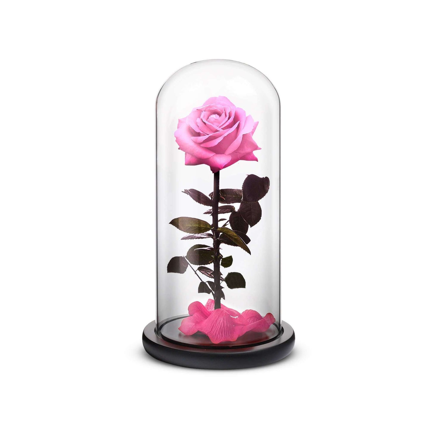 Rosephoria Everlasting // Small - Red