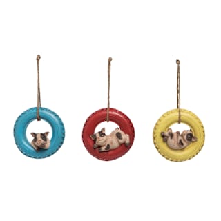 Multicolored-