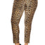 Brown Leopard