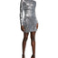 2169-SILVER