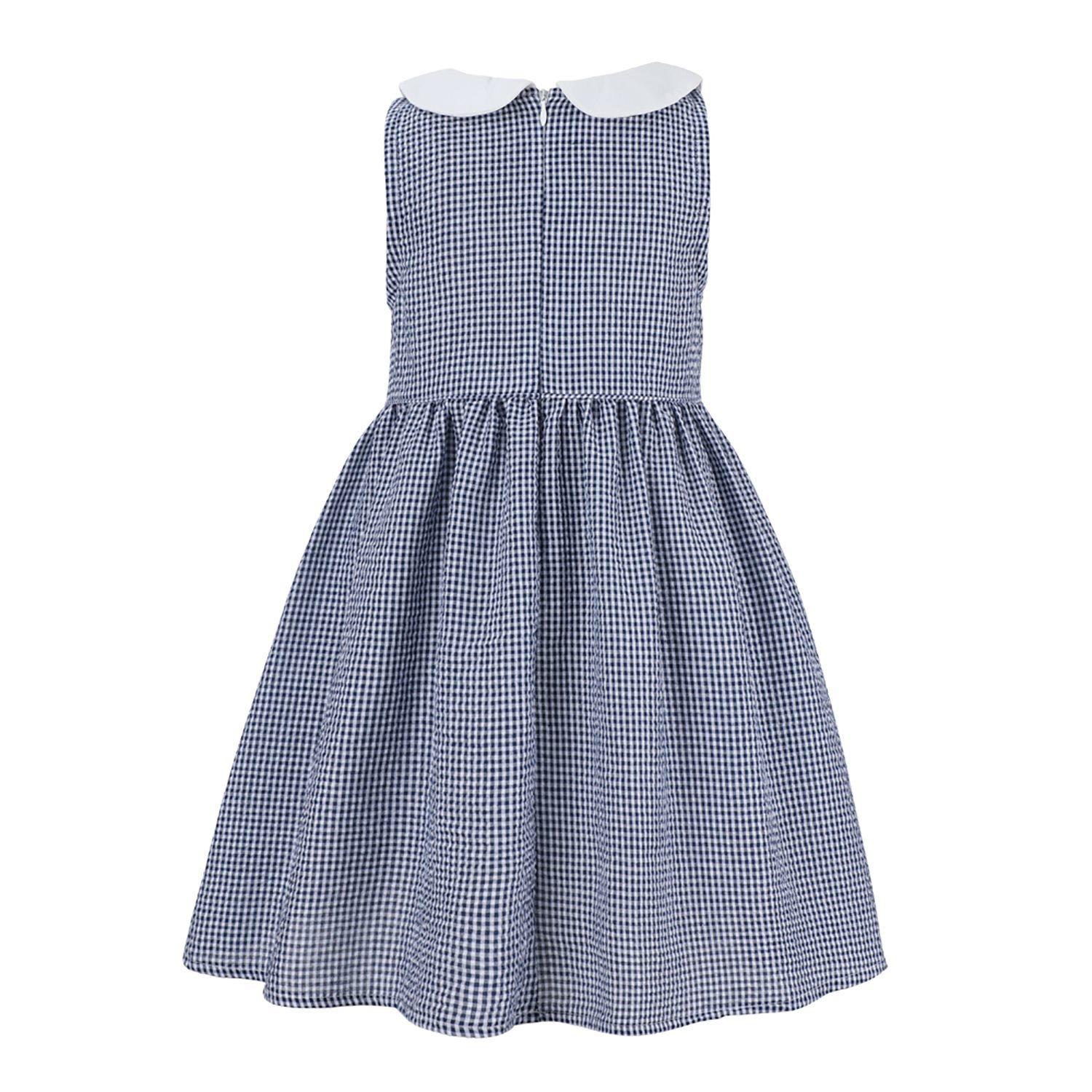 Blue Gingham Peter Pan Collar Sleeveless A-Line Dress Blue / 10 Blue Gingham Peter Pan Collar Sleeveless A-Line Dress Blue / 10