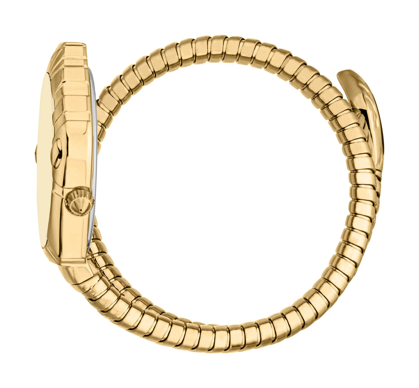 Just CAVALLI Women Watch, Gold Color Case, Champagne Dial, Gold Color Metal Bracelet, 2 Hands, 3 Atm