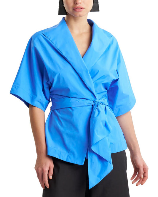 ASB-ASTER BLUE-