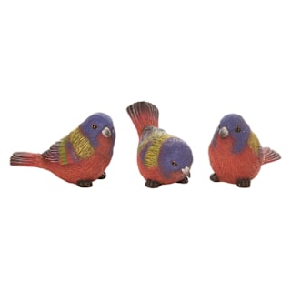 Multicolored-