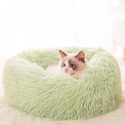 Mint Green-