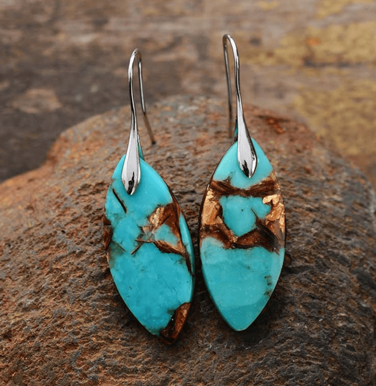 Brown / Silver-