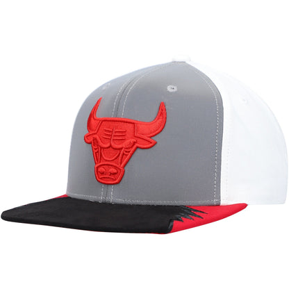 Mitchell & Ness Men's NBA Day 5 Snapback Bulls Snapback Caps