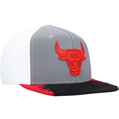 Mitchell & Ness Men's NBA Day 5 Snapback Bulls Snapback Caps
