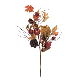 Multicolored-