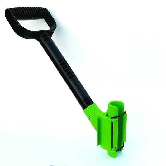 Green-